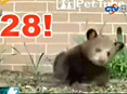 ����28�������С����