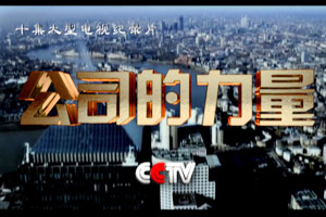 大型电视纪录片《公司的力量》节目简介