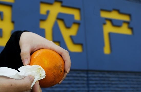 昨天,市民在拿纸擦橙,出现掉色现象。早报见习记者 王浩然 图 昨天,市民在拿纸擦橙,出现掉色现象。早报见习记者 王浩然 图