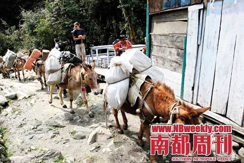 尼泊尔山区大部分地方少有公路,徒步旅行在这个国家的发达便得益于此。 尼泊尔山区大部分地方少有公路,徒步旅行在这个国家的发达便得益于此。
