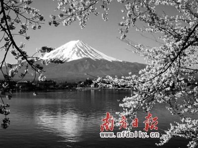 日本 日本