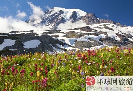 华盛顿,雷尼尔山 华盛顿,雷尼尔山