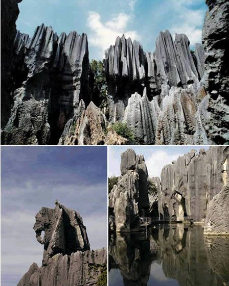 石林(中国) 石林(中国)