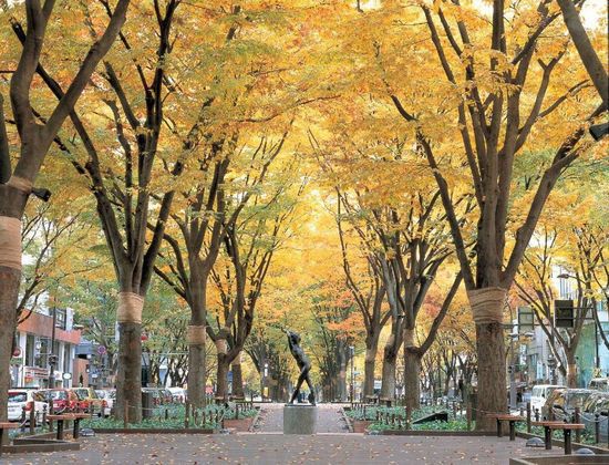 日本仙台市 日本仙台市