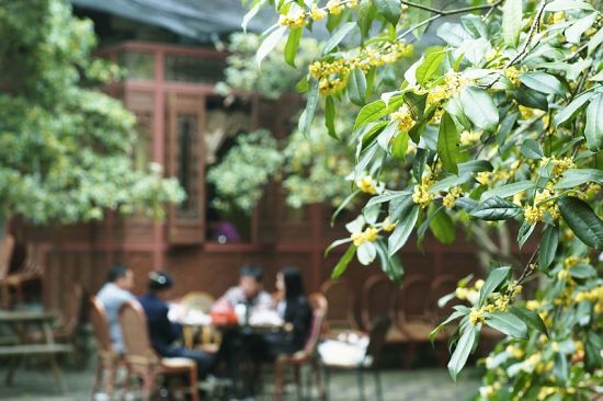 满陇桂雨 孙小明摄