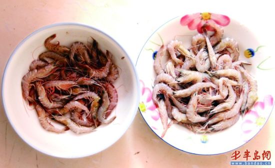在市场上购买的两种立虾，放了数小时后 ，一种变黑（左），另一种鲜亮如初。