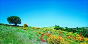 初夏遇见 罗讷河谷 初夏遇见 罗讷河谷