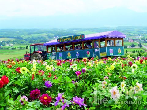 闻香识北海道 闻香识北海道
