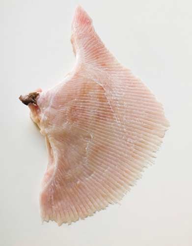 鳐鱼片 鳐鱼片