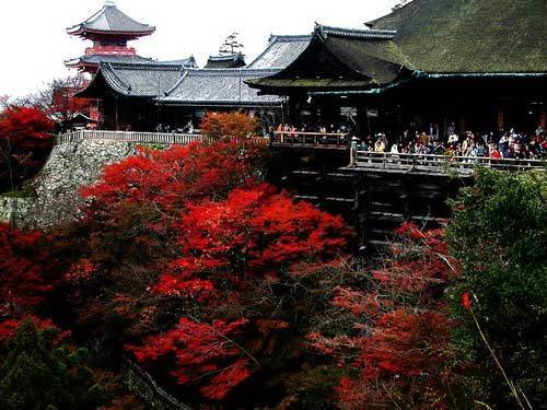 日本京都美景 日本京都美景