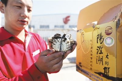 阳澄湖大闸蟹成餐饮奢侈品 开店三个月能吃一年