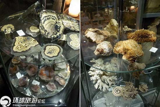 维利奇卡盐矿博物馆中展出的矿石 维利奇卡盐矿博物馆中展出的矿石