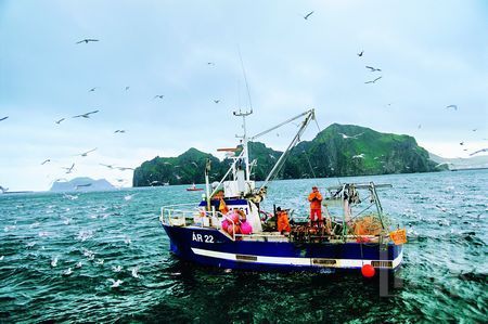 5搭乘游船去寻找新鲜的海味,然后品尝一顿夕阳晚餐是游客在雷克雅未克能找到的最棒的享乐方式之一 5搭乘游船去寻找新鲜的海味,然后品尝一顿夕阳晚餐是游客在雷克雅未克能找到的最棒的享乐方式之一