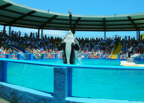 迈阿密水族馆 迈阿密水族馆