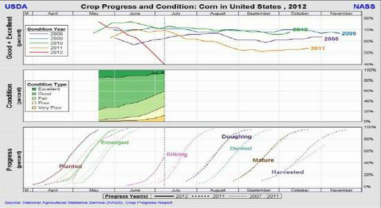 玉米震荡趋涨重心逐步上移