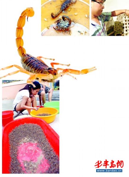 ĸЫӲµСЫ ĶЫ ֳĹԱЫ