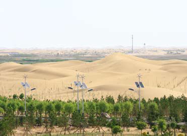 亿利资源集团:大漠绿洲 美丽中国_滚动新闻