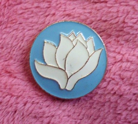 图6 颐和园参观纪念章