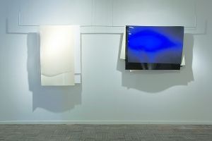 Eikos 98cm×130cm(右) 150cm×85cm(左) 亚克力 2012年