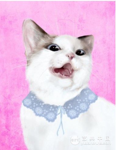 Niki Bradley 维多利亚式的猫叫 2011 Niki Bradley 维多利亚式的猫叫 2011