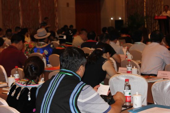 少数民族节庆代表参会 少数民族节庆代表参会