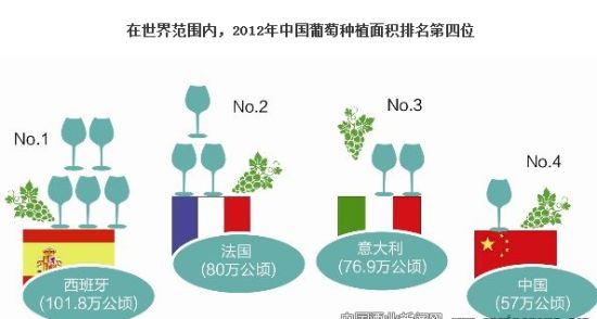数据来源：国际葡萄与葡萄酒组织(OIV)日发布的《2013年世界葡萄酒行业统计报告》