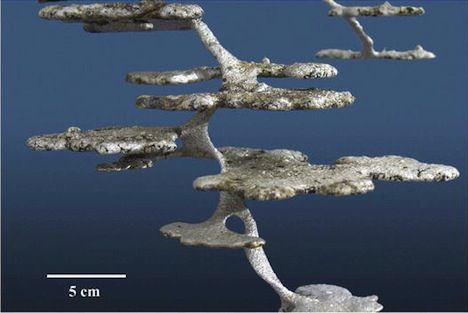 昆虫学家非常规手段打造蚂蚁帝国的雕塑引争议_海外动态_新浪收藏_新浪网