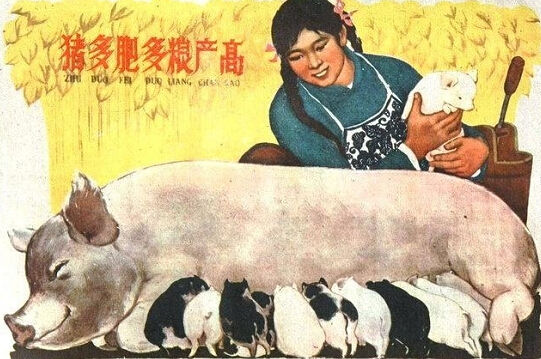 《养猪印谱》记忆