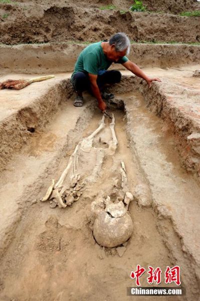 图为考古工作人员在清理出土的尸骨遗骸。中新社发 杨正华 摄