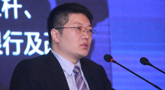 马宁：中国有全世界最好的GDP但有最糟的股市