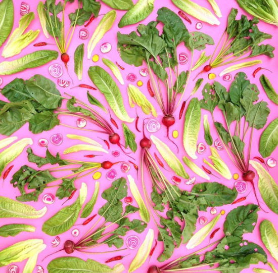 英国艺术家用蔬果作画 极致美感让人无法下口 英国艺术家用蔬果作画 极致美感让人无法下口