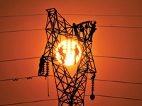 国家能源局：电网购销差价2014年同比增8%