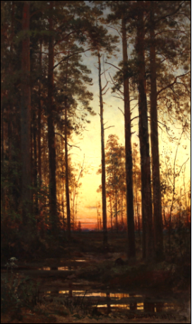 参展作品：希施金《松林的傍晚》 19世纪， 境艺园俄罗斯油画画廊藏品