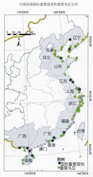  中國濱海國際重要濕地和重要鳥區分佈。資料來源：中國濱海濕地保護管理戰略研究項目組