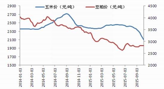 南华期货:鸡蛋投资机会分析|鸡蛋|玉米|期货