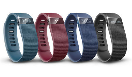 Fitbit Flex