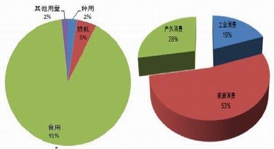 鸡蛋人均消费_鸡蛋卡通图片(3)