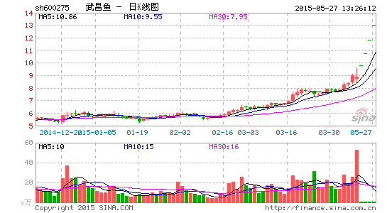 三年诉讼长跑终有收获 52位武昌鱼股民获赔39