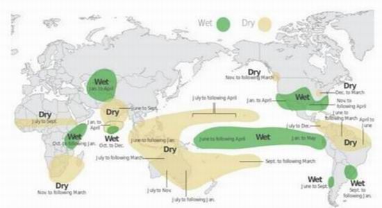 银河期货(年报):豆类调整周期 期待供需变化|大