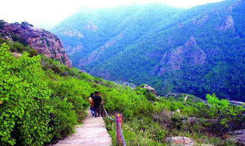 哈达门高山牧场 哈达门高山牧场