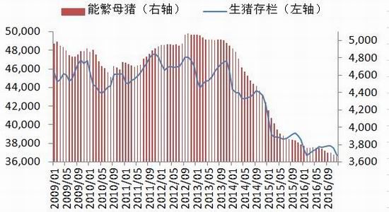 银河期货:豆类供需宽松 反弹还看出口|银河期货