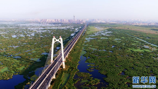 “城中湿地”尽显北国绿意生机这是大庆龙凤湿地大桥横跨龙凤湿地自然保护区(7月4日摄)。新华社记者王凯摄 “城中湿地”尽显北国绿意生机这是大庆龙凤湿地大桥横跨龙凤湿地自然保护区(7月4日摄)。新华社记者王凯摄