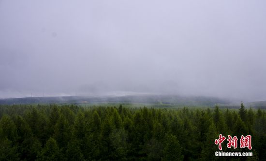 图为在亮兵台眺望雨中林场景色。 中新网记者 张舰元 摄 图为在亮兵台眺望雨中林场景色。 中新网记者 张舰元 摄