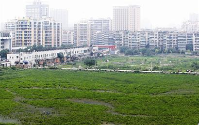 武汉城区50年来近百个湖泊被填占消失(组图)