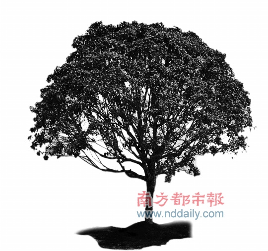 王荣:深圳将再造一个激情燃烧的火红年代