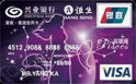 ҵҹVISA mini˫+VISA+Ԫտ