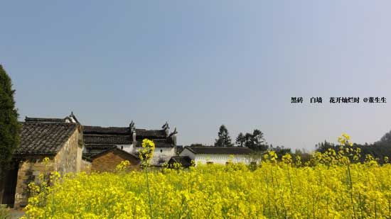 “江西风景独好”品牌唱响 邀您共赏江西