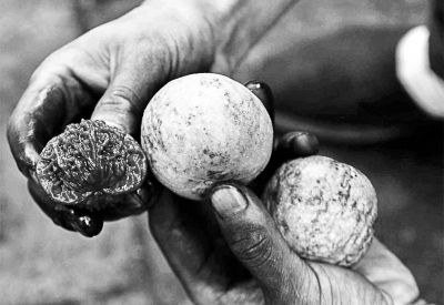 ��������ҵ���߾�����8Сʱ�����֡�