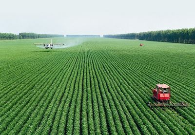 北大荒地租收入每年被截十几亿 持有土地为国有耕地