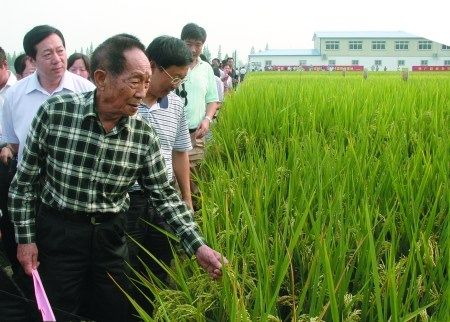 杂交水稻之父袁隆平